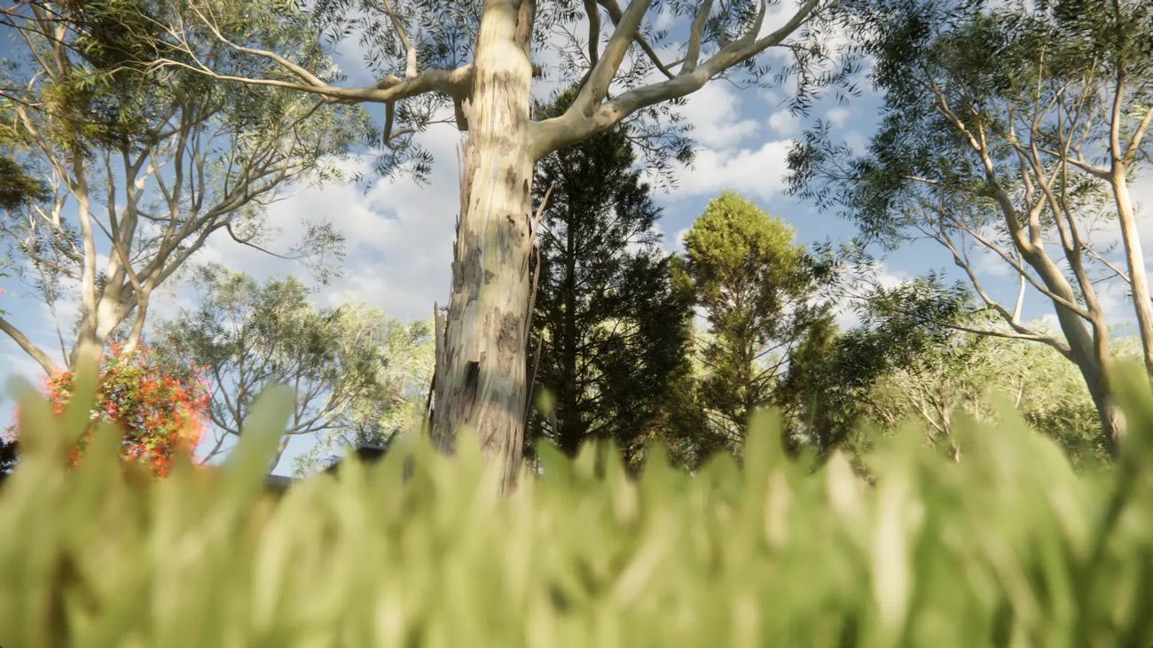 How our plant models look and work in Enscape