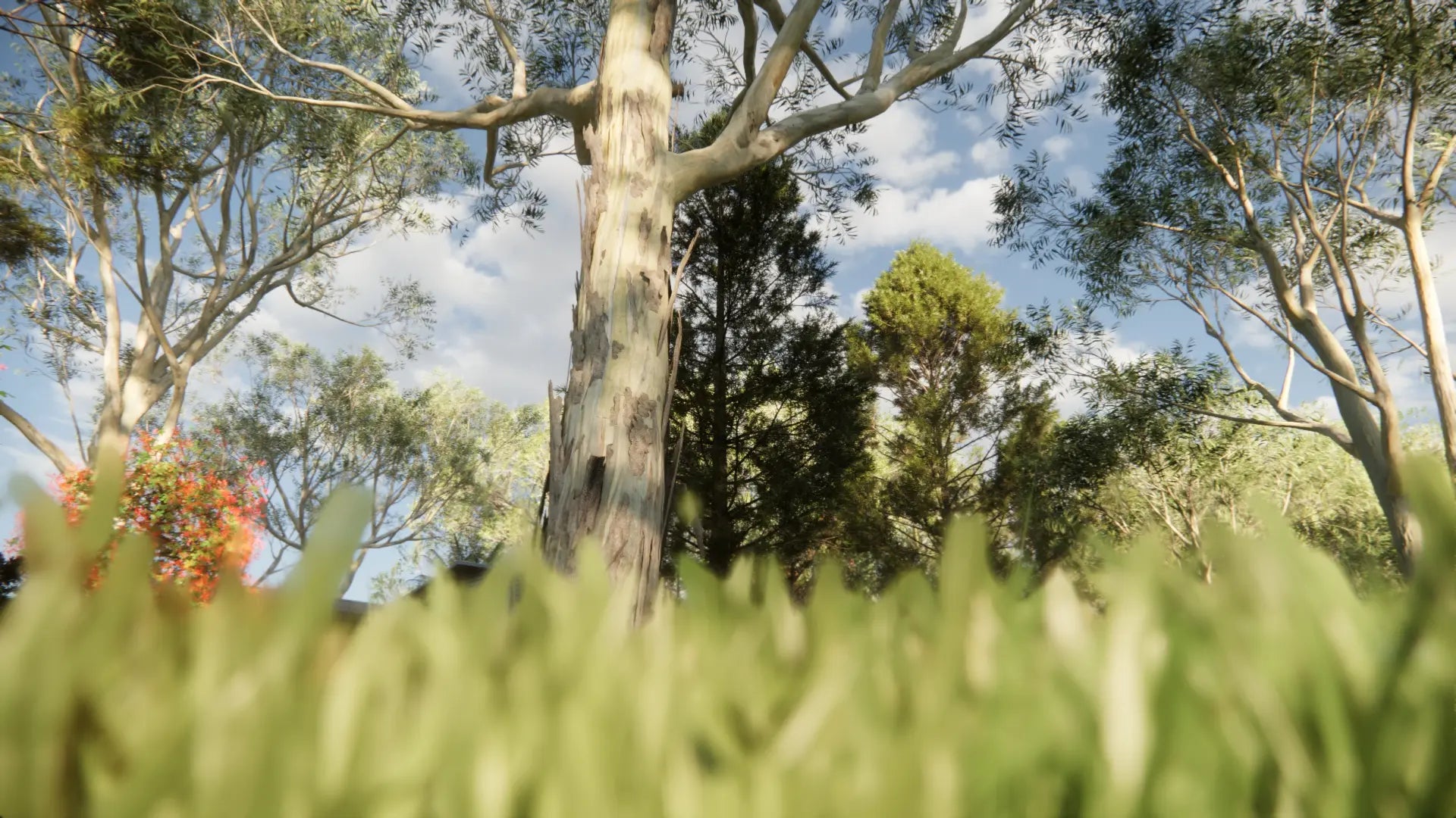 Low Poly Bundle 68 - Australian Home & Garden 05 (3D Model)