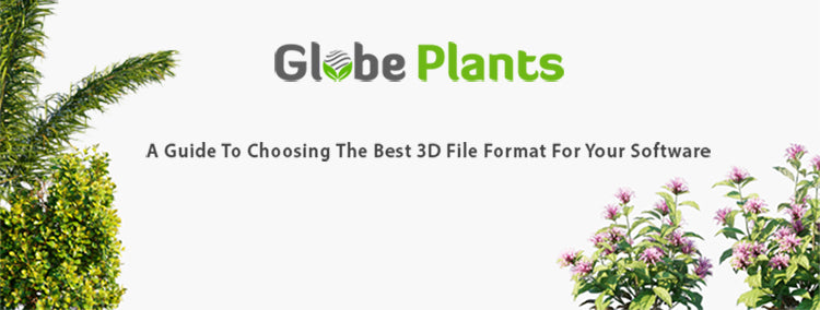 Globe Plants