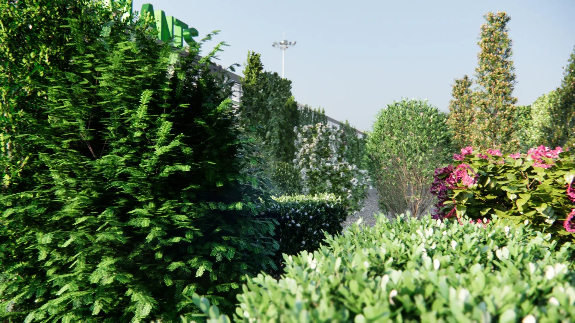 Low Poly Bundle 07 - Ornamental Plants & Hedges (3D Model)