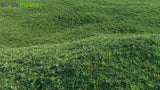 Load image into Gallery viewer, Axonopus Compressus - Broadleaf Carpetgrass , Carpet-Grass, Tropical Carpet Grass, Blanket Grass, Lawn Grass, Louisiana Grass, Savanna Grass, Kearsney Grass (3D Model)