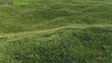 Load image into Gallery viewer, Pennisetum Clandestinum - Kikuyu Grass (3D Model)