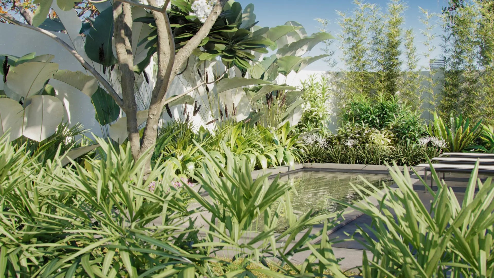 Bundle 05 - Tropical Plants (3D Model)