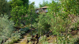 Load image into Gallery viewer, Bundle 19 - Temperate Plants (3D Model)