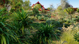 Load image into Gallery viewer, Bundle 21 - New Zealand Plants (3D Model)