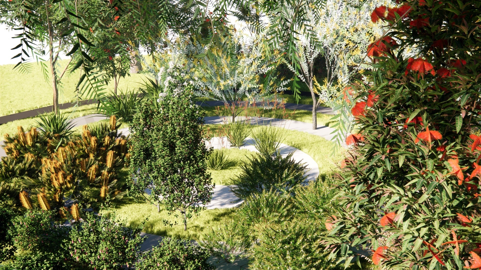 Low Poly Bundle 22 - Australian Home & Garden Plants 02 (3D Model)