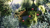Load image into Gallery viewer, Low Poly Bundle 24 - Australian Home &amp; Garden Plants 03 (3D Model)