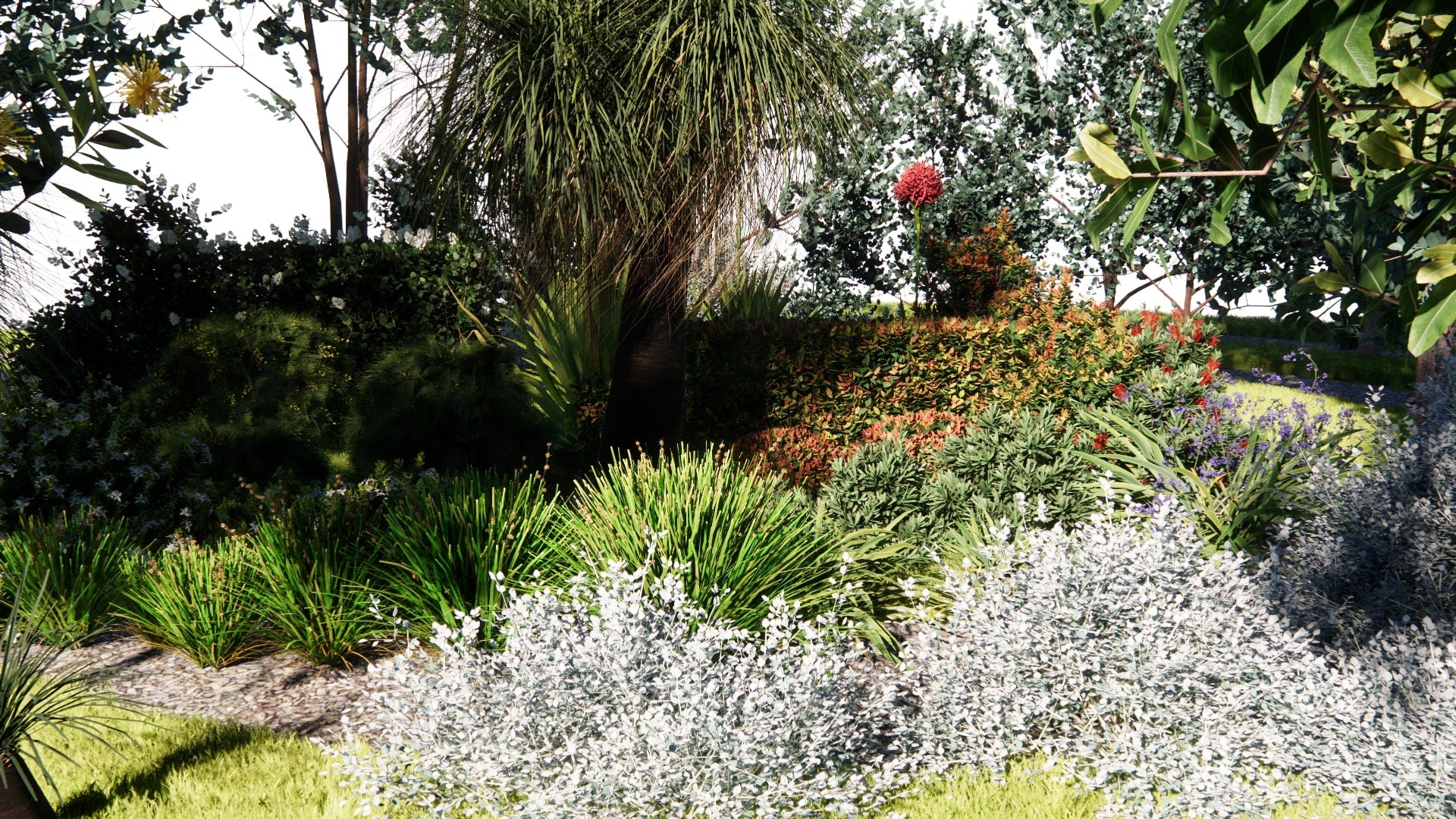 Low Poly Bundle 24 - Australian Home & Garden Plants 03 (3D Model)