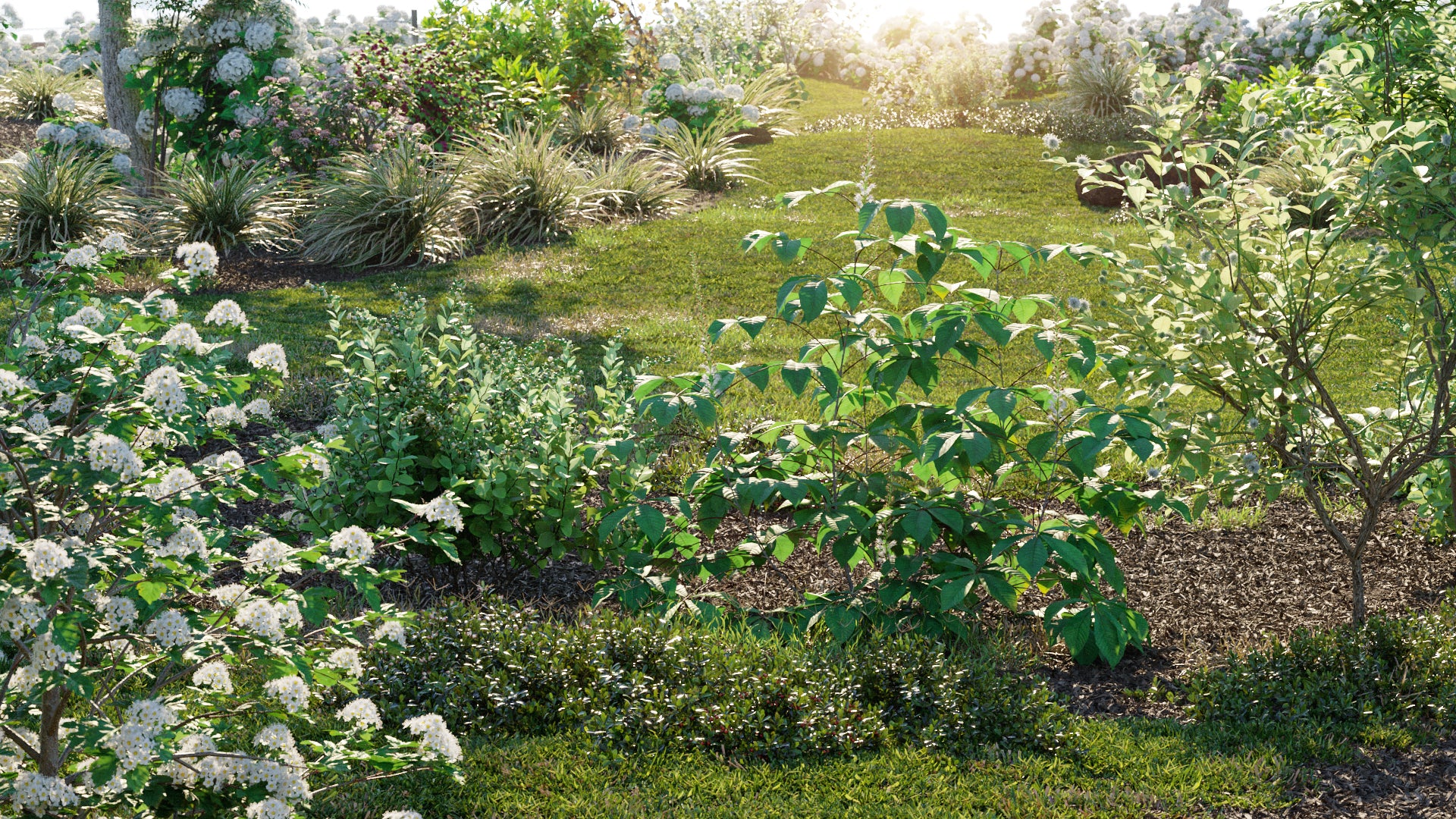 Bundle 29 - North American Home & Garden Plants 02 (3D Model)