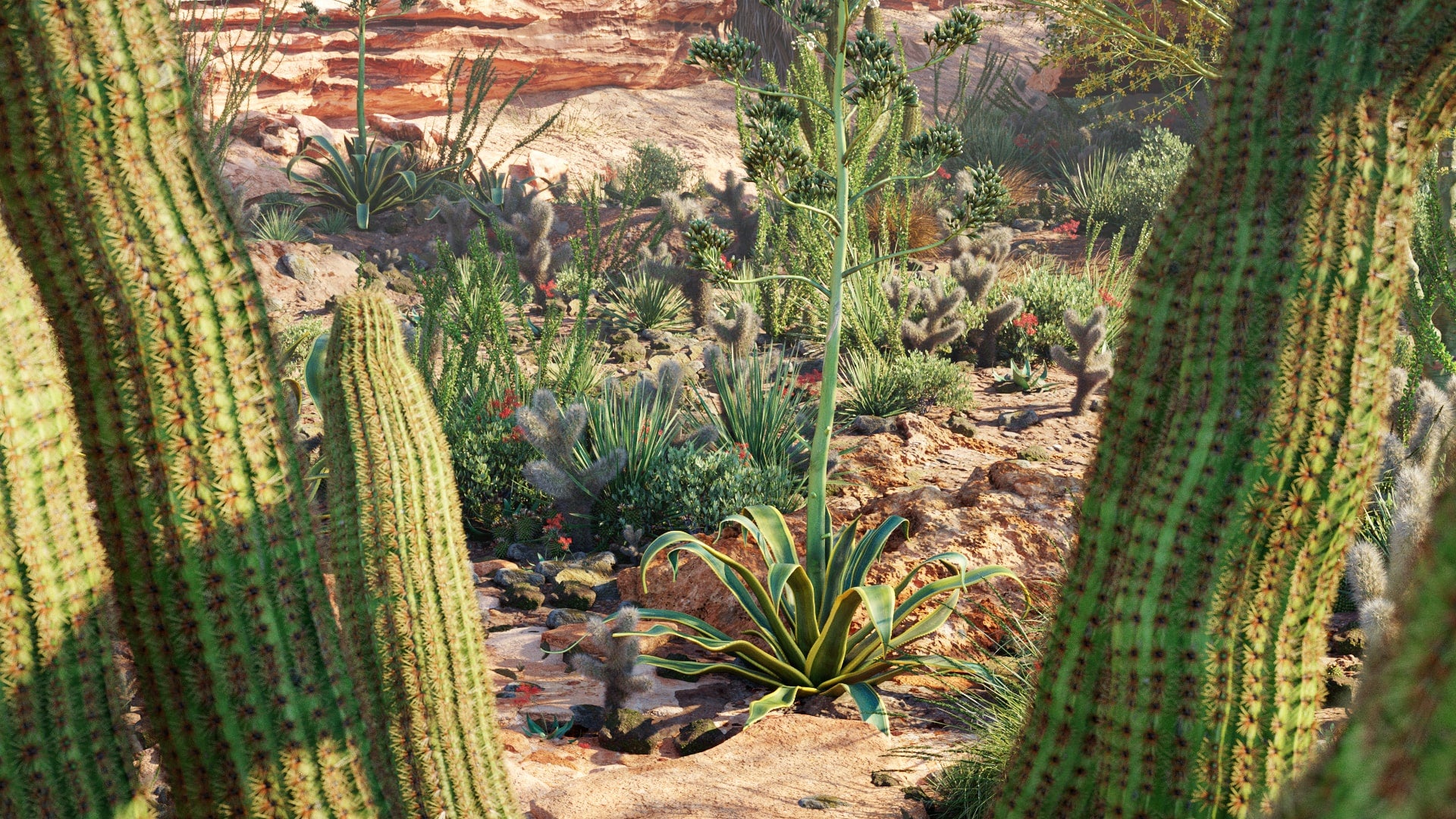 Bundle 34 - Mexican Plants (3D Model)