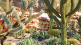 Load image into Gallery viewer, Low Poly Bundle 34 - Mexican Plants (3D Model)