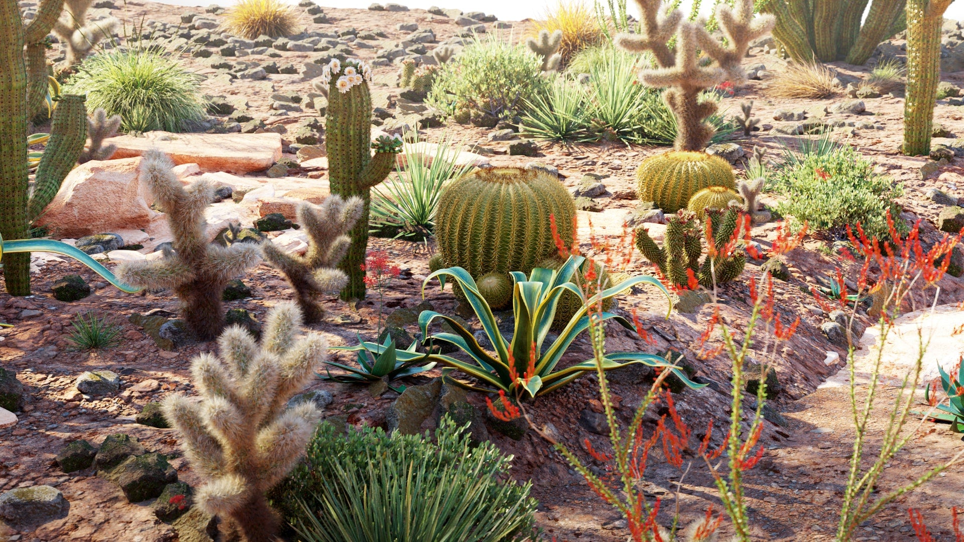 Low Poly Bundle 34 - Mexican Plants (3D Model)