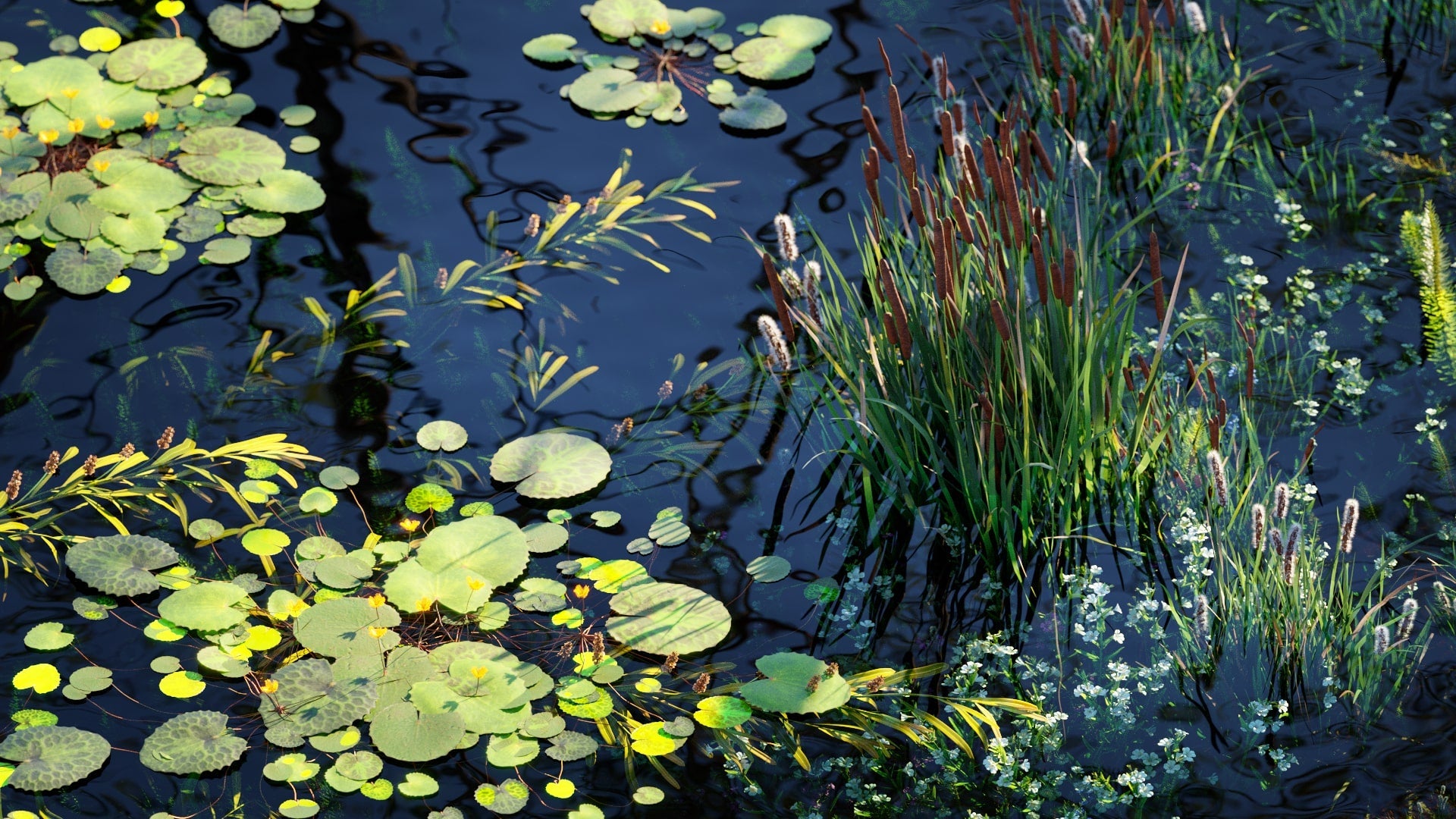 Bundle 46 - Wetland Plants - Thea (3D Model)